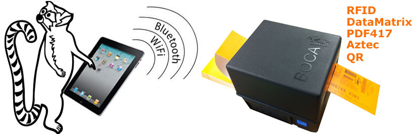 Boca Systems