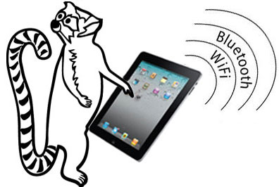 Boca Systems